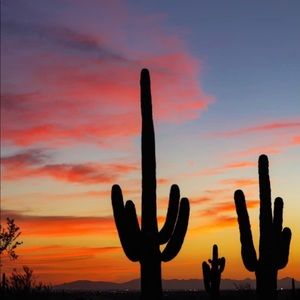 Meet your Posher, Ann